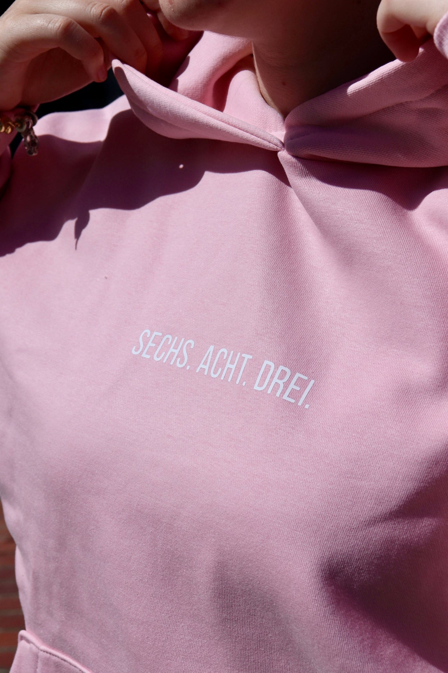 BSDRF Hoodie - rosa